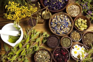 Xây dựng y học cổ truyền thành bộ phận quan trọng của hệ thống y tế quốc gia.