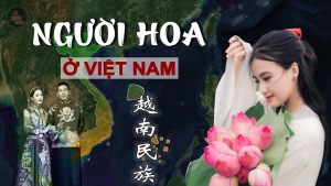 Lịch sử người hoa ở việt nam