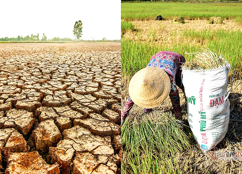 el nino lan thu 6 dat cuc dai sau 76 nam mien nam doi mat han han khoc liet 800x576 ced 7776895