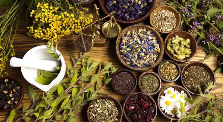 Xây dựng y học cổ truyền thành bộ phận quan trọng của hệ thống y tế quốc gia.